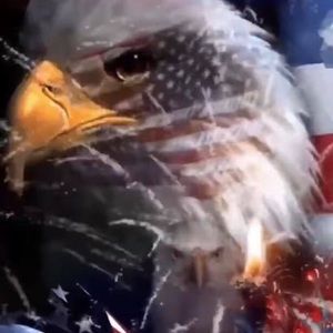 Meet your Posher, Rowena